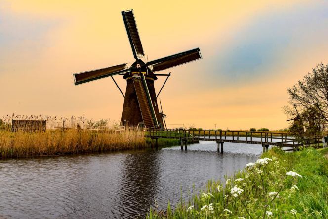 荷兰留学环境图片