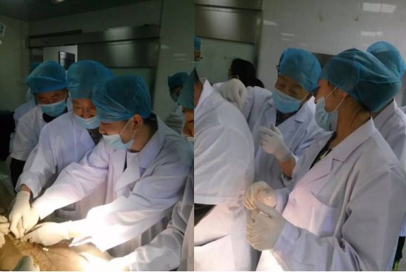 11月22日（北京）PRP技术骨病疼痛临床应用讲习班
